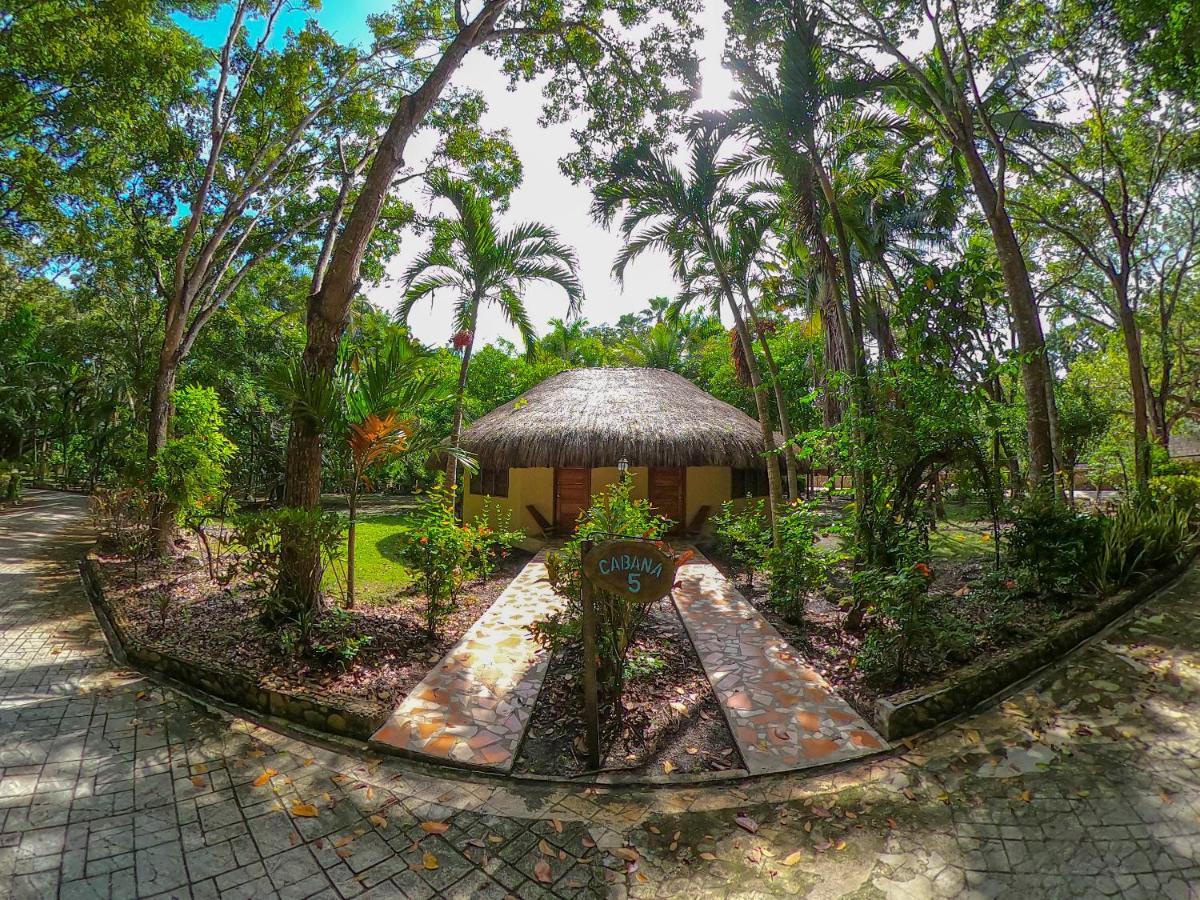 The Mayan Garden Orange Walk Eksteriør bilde