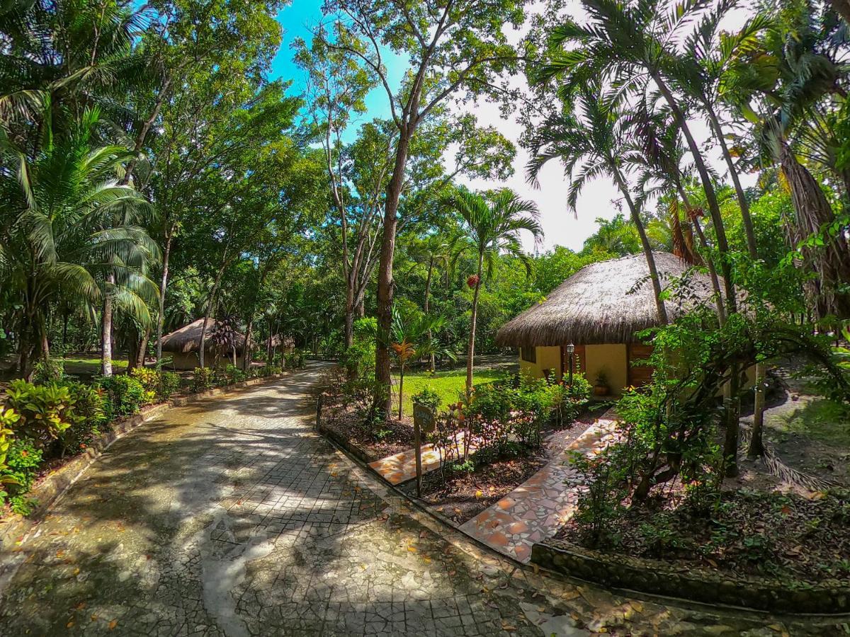 The Mayan Garden Orange Walk Eksteriør bilde